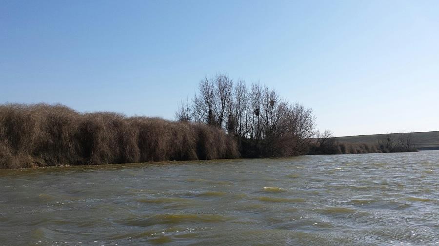 BALTA SULIMANU - MARTIE 2014 - sulimanu-sector-b.jpg